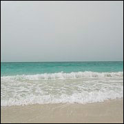 IMG_6536.JPG