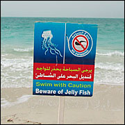 IMG_6537.JPG