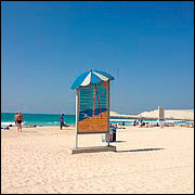 IMG_6548-.JPG