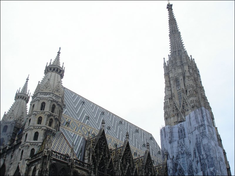 DSC08150.JPG