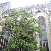 DSC08179.JPG