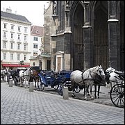 DSC08191.JPG