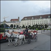 DSC08228.JPG