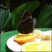 DSC08405.JPG