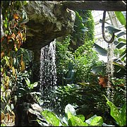 DSC08407.JPG