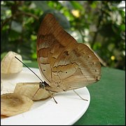 DSC08409.JPG