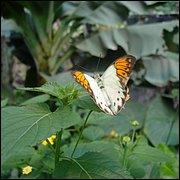 DSC08411.JPG